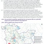 10 Bdc Draft Development Strategy 15.7.25 (9b)